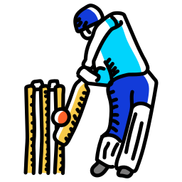 Cricket Image